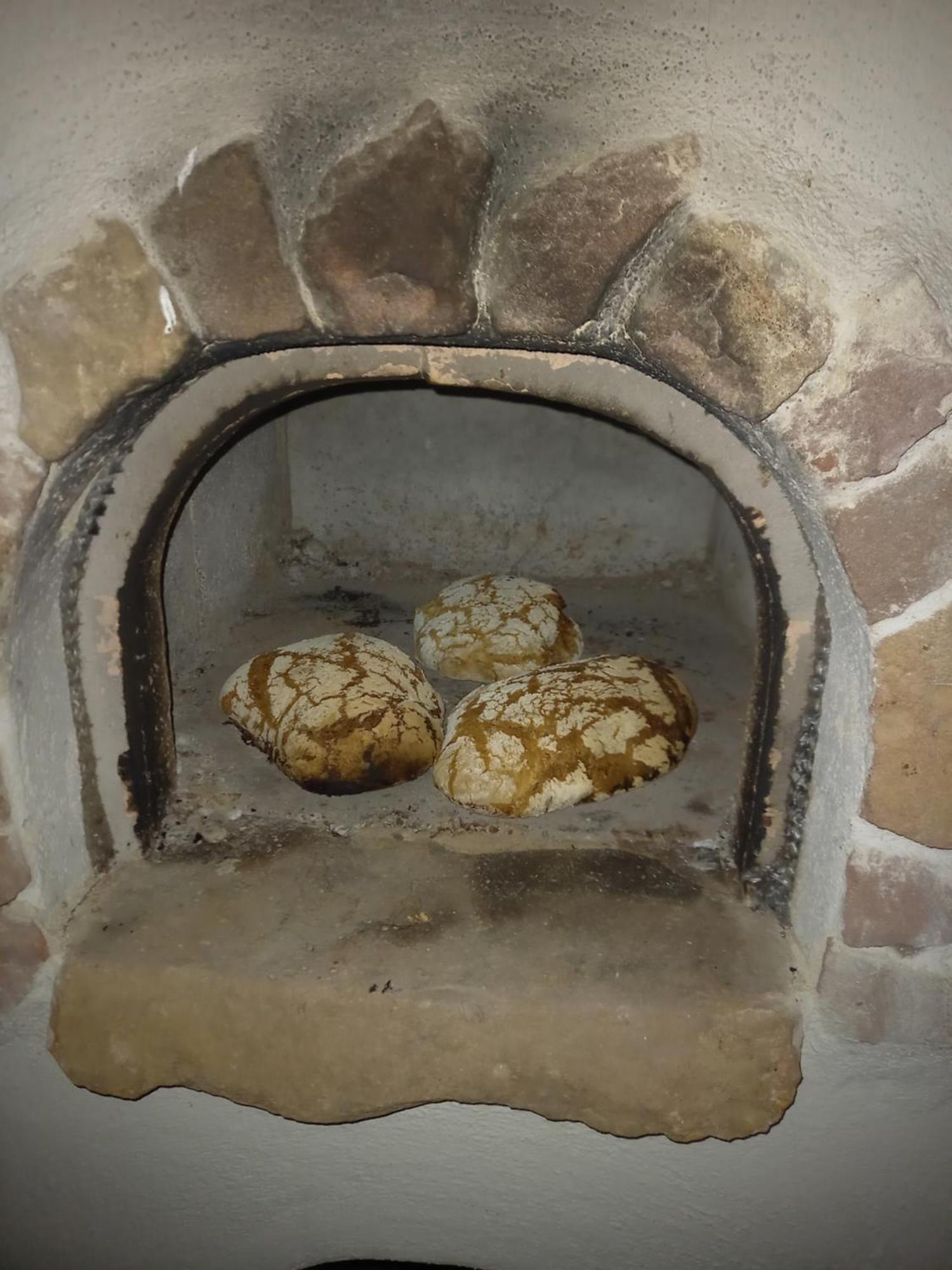 Wickys Igelnest Apartment Malsch  Luaran gambar